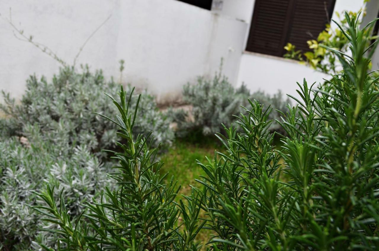Apartman Roguljic Split Exterior foto